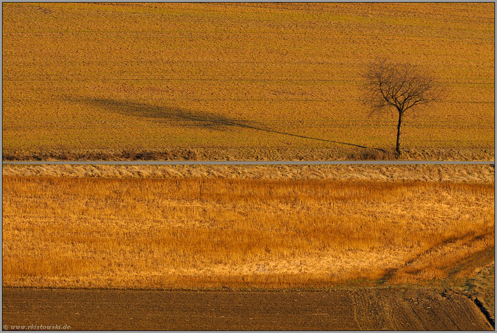 Schattenwurf... Felder *Sauerland*