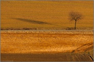 Schattenwurf... Felder *Sauerland*